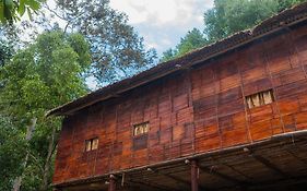 Rain Forest Inn
